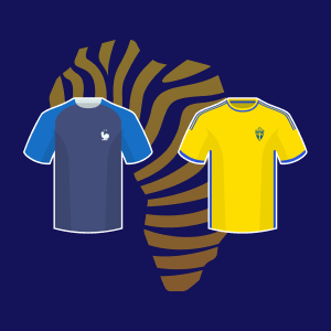 france suede prono foot