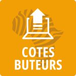 cotes sur les buteurs sur pronostic-foot-afrique